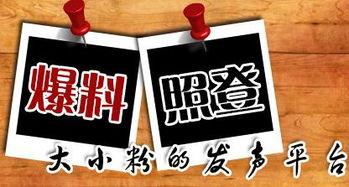 厨神最新爆料新闻,最新爆料背后的美食传奇